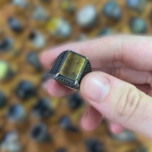Earthfang Ring